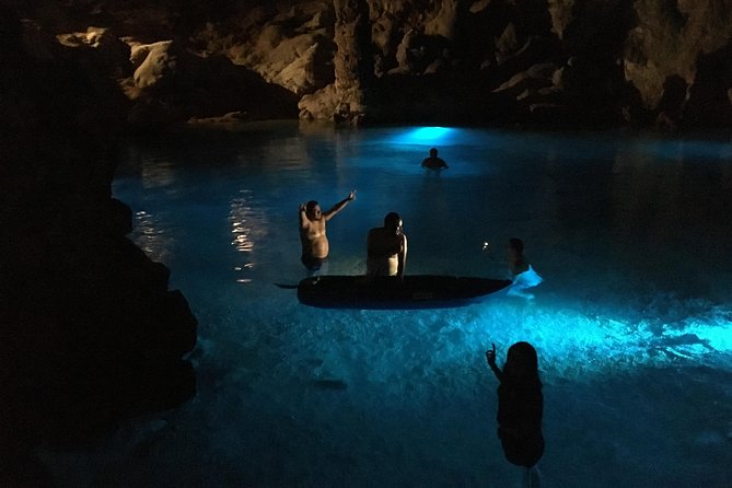 Mayan Underworld Experience (Cenote-Museum) - Price and logistics: value, getting there, and return rides