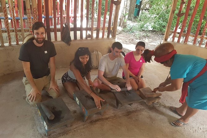 Mayan Village and Tequila Tour - What the narration covers: medicinal plants and interpretive Mayan houses