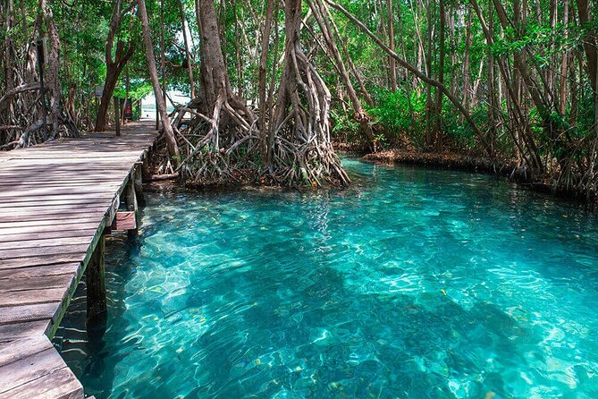 Mérida: Boat Tour Through the Mangroves of Celestún - The Mangrove Boat Ride: Wildlife Stops That Actually Matter