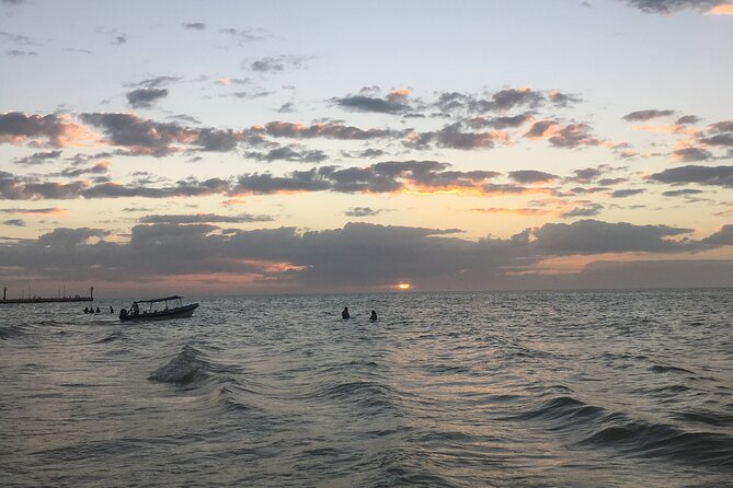 Mérida: Boat Tour Through the Mangroves of Celestún - Flamingos, Birds, and the Reality of Viewing