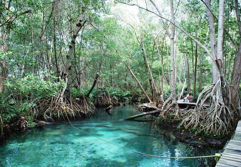 Merida: Celestun Boat Ride Mangrove Experience! Beach Time - Price and value: is $117 worth it?