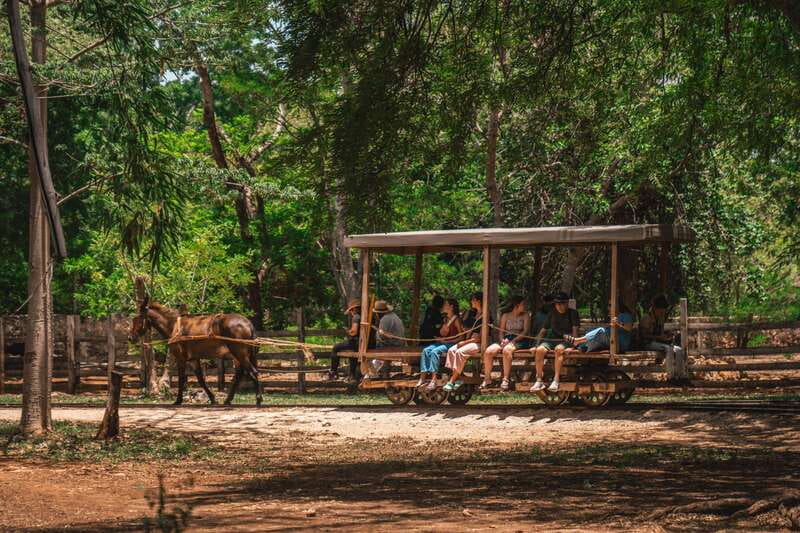 Merida: Hacienda Sotuta de Peon w/ Cenote & Henequen Tour - The typical Mayan house stop: short, but adds context