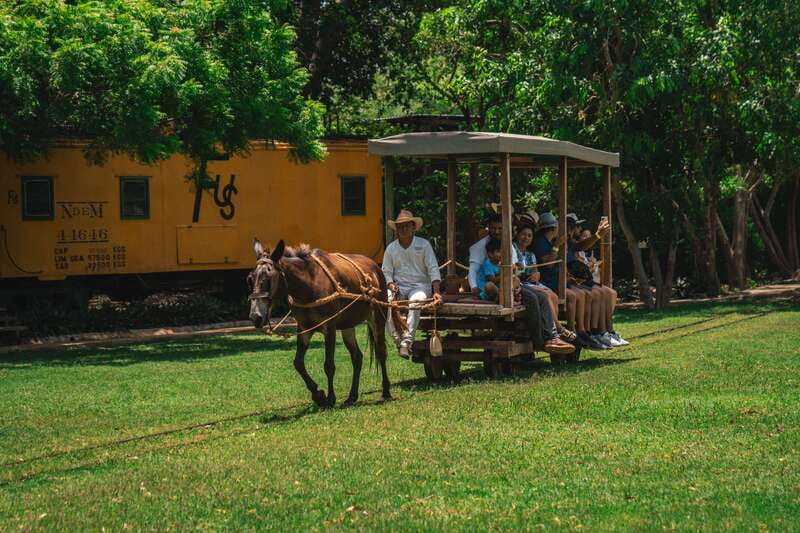 Merida: Hacienda Sotuta de Peon w/ Cenote & Henequen Tour - The mule-powered truck ride through henequen fields on rails