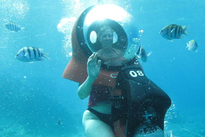 Mini-SUB Dive Tour from Cozumel - What You Can Expect After You Surface