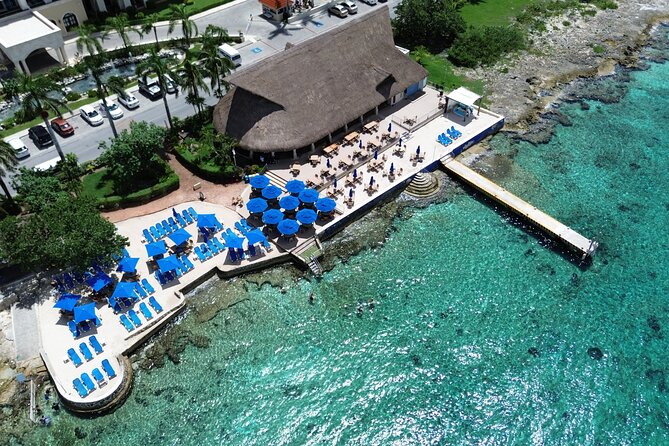 Money Bar All Inclusive Experience with Transportation - Key takeaways before you go