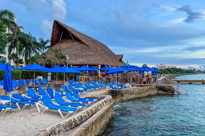 Money Bar All Inclusive Experience with Transportation - Your 6-hour flow: pickup, beach time, snorkeling windows, and sunset