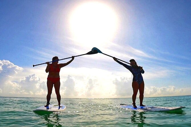 Morning Session - All Levels Paddleboard Group Caribbean Sea - Where You’ll Start in Playa del Carmen (And Why It Matters)