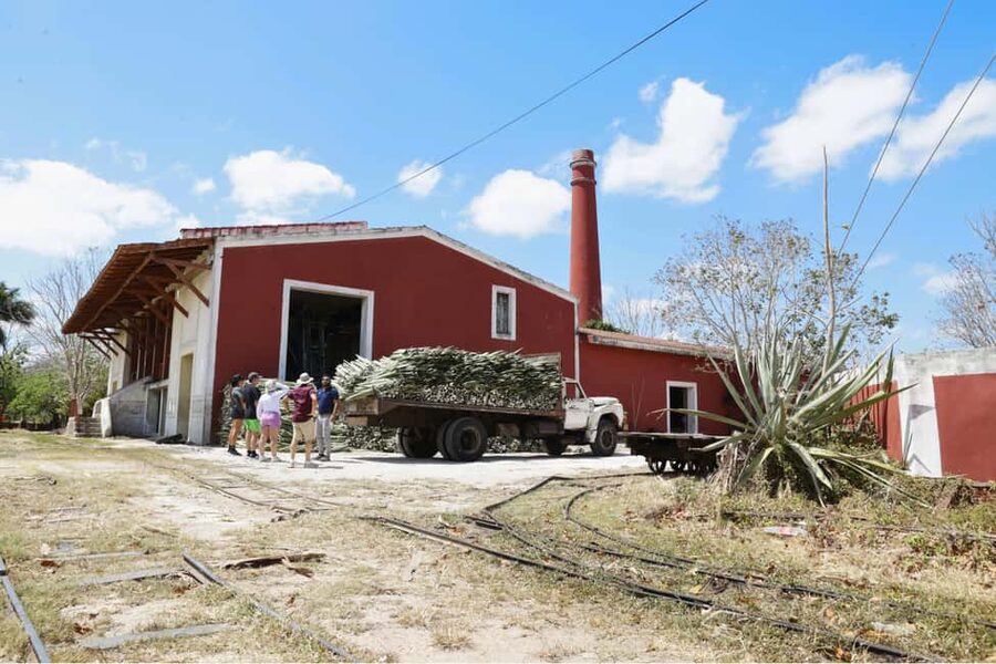 Motul, Hacienda, Xcambo, Pink Salt Mine & Progreso Day Trip - Getting There, Timing, and What to Bring (So You Do Not Lose Time)