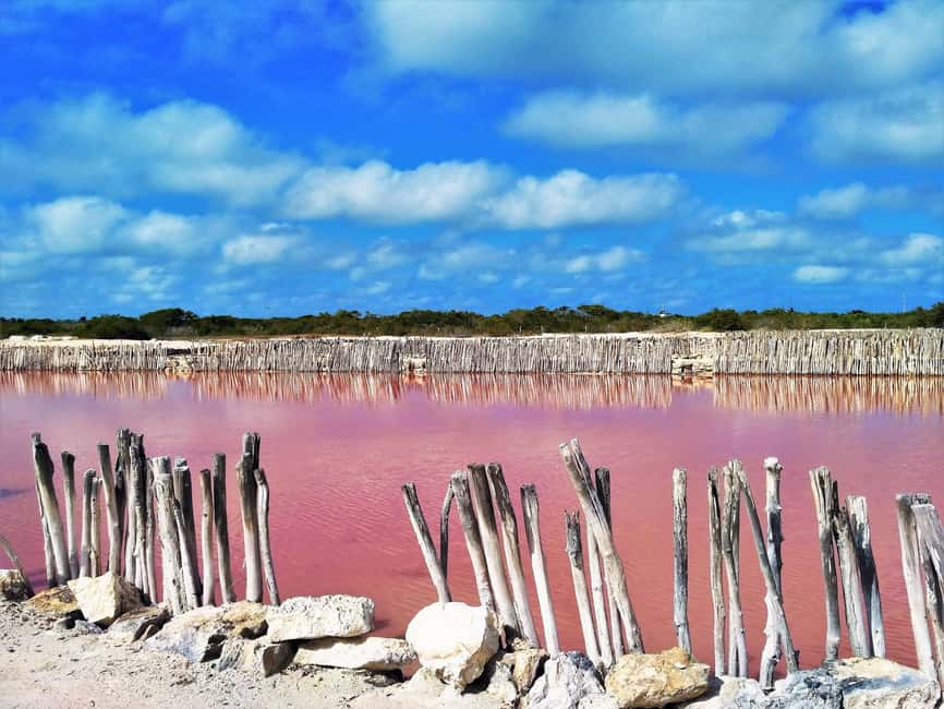 Motul, Hacienda, Xcambo, Pink Salt Mine & Progreso Day Trip - Xtampú Pink-Pond (Ixtampú): The Science Behind the Color