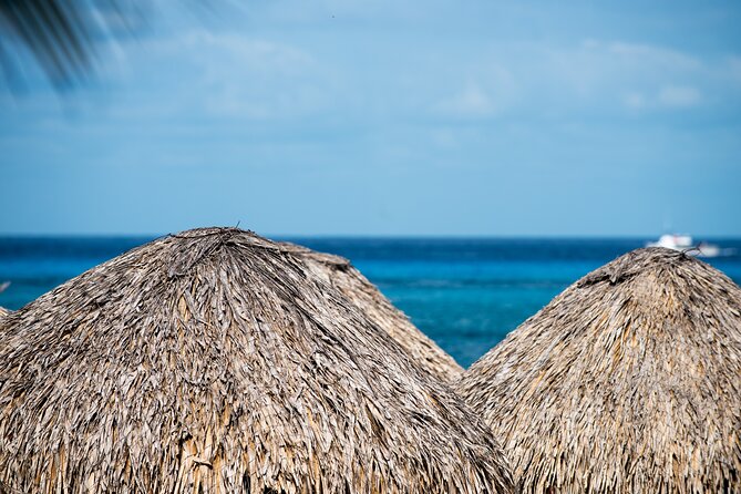 Mr. Sanchos Beach Club All-Inclusive Day Pass - Drinks All Day: Open Bar Rules and the Real Service Difference