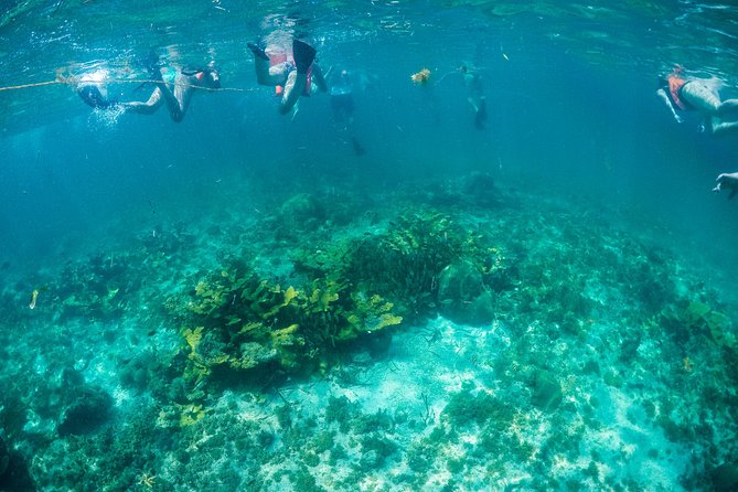 Mujeres Island Tour by Catamaran from Cancun City - Who this tour fits best, and who might want a different plan