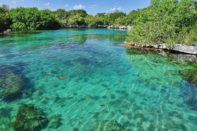 Natural Reserve of Sian Ka'an Tour ! - Snorkeling at the reef and swimming in the natural pool