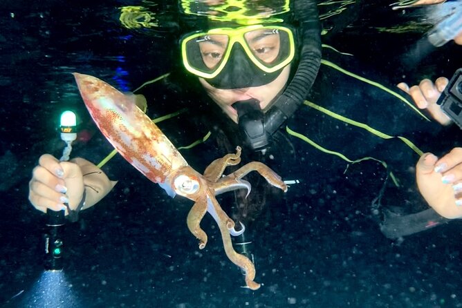 Night Snorkeling - Observation of octopus and other species - Night snorkeling in Cozumel: what changes after dark