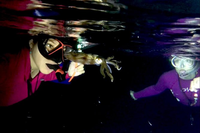 Night Snorkeling - Observation of octopus and other species - The guide factor in Cozumel night snorkeling: Lalo, Eduardo, Danny, Miranda