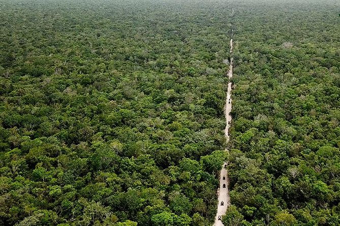 Off Road ATV Tour at the Akumal Monkey Rescued Animals Sanctuary - Should you book the Off Road ATV plus Monkey Sanctuary tour?