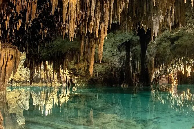 Off Road in Cozumel with ATVs, El Cedral Ruins and Cenote - Price and value: the $39 ticket plus the $20 ecotax