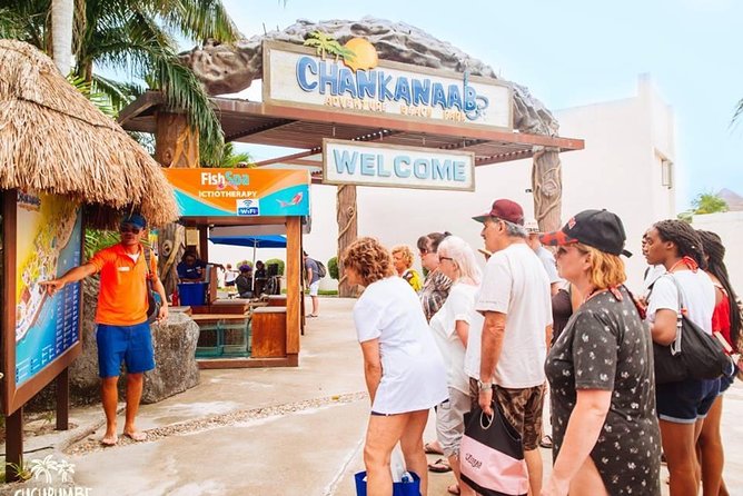 Official Chankanaab Beach Park Day pass with Snorkel - Price and value, including the $11 marine park fee