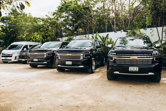 One Way Private Transfer Cancun Int Airport - Playa del Carmen - Key Points You’ll Care About
