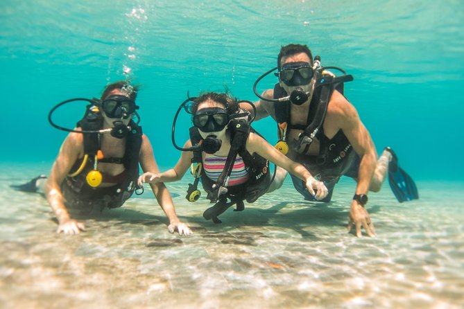 Open Water Course Cozumel - Price and Value: What $600 Covers and Why It Might Be Worth It