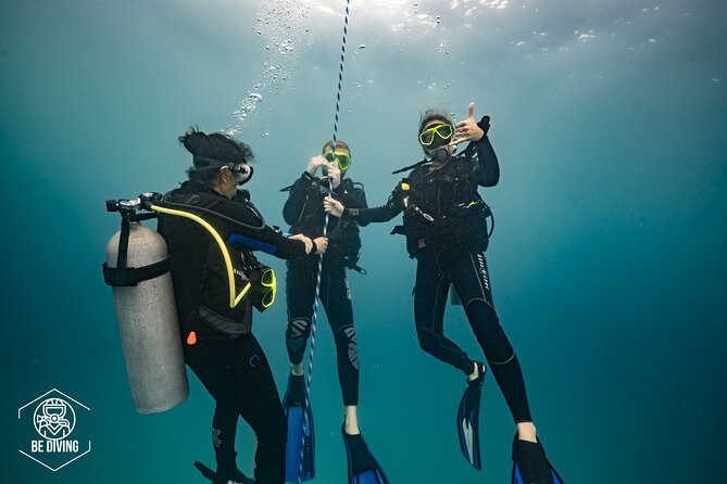 Open Water Course Cozumel - Where You Meet (and How to Plan Around Cozumel and Playa del Carmen)