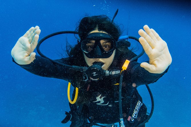 Open Water Course Cozumel - Should You Book This Open Water Course in Cozumel?