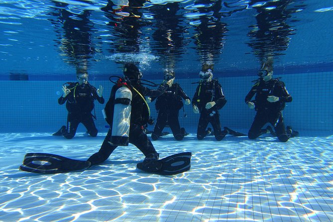 Open Water Diver 2-Day PADI Course in Playa del Carmen - Open-water sessions by boat, and how conditions can change the plan