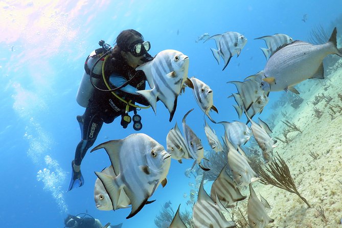 Open Water Diver 2-Day PADI Course in Playa del Carmen - Meeting point details in Playa del Carmen, and how to plan your day