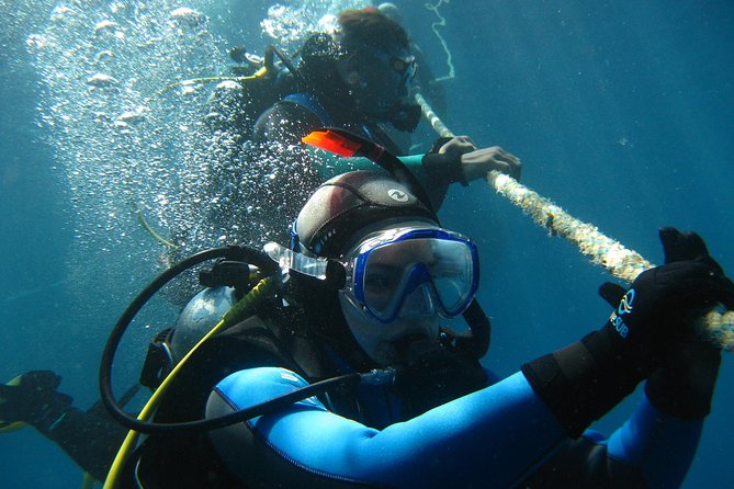 Open Water Diver course PADI including underwater video - Quick hits if you want the course life