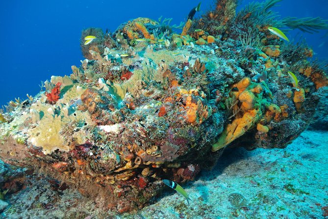 Open Water Diver course PADI including underwater video - Pool skill sessions: building control before you go anywhere real