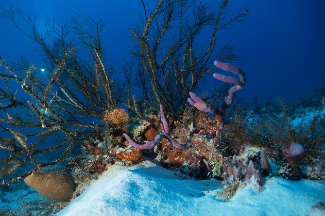 Open Water Diver course PADI including underwater video - Getting to Diversland and the 8:30 am start you should plan for