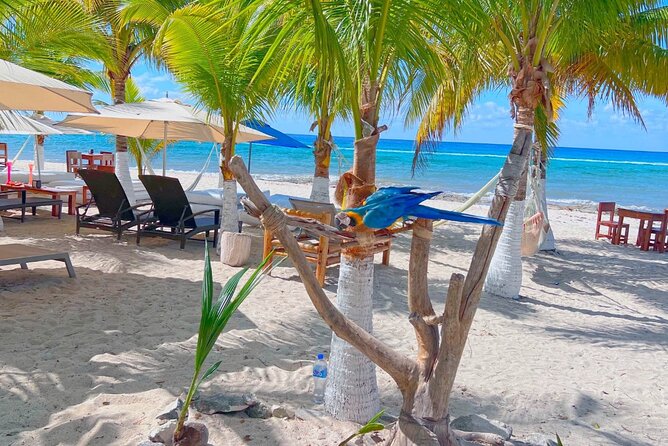 Otoch Mayan Experience Tour: Cultural & Historical Adventure - Transport, group size, and what to pack for comfort