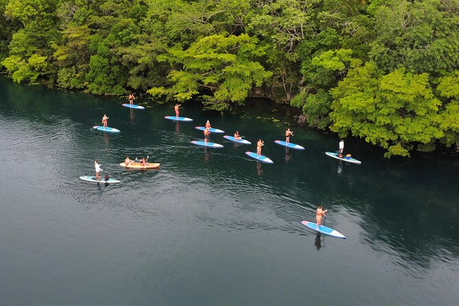 Paddle at Dawn with visit to Cenotes and Islands - Key highlights worth getting excited about