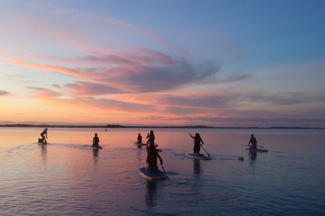 Paddle at Dawn with visit to Cenotes and Islands - Bird sanctuary time, a calmer way to see wildlife