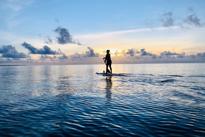 Paddle Board at Sunrise or Sunset in Cancun - Getting There: The Blvd. Kukulcan Meeting Point and Easy Start