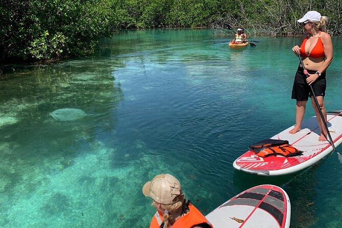 Paddleboard Kayak Tour in Cancun - Nichupté Lagoon and mangrove tunnels, Cancun style