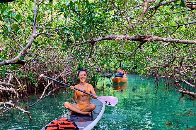 Paddleboard Kayak Tour in Cancun - What’s included: the value of not juggling gear