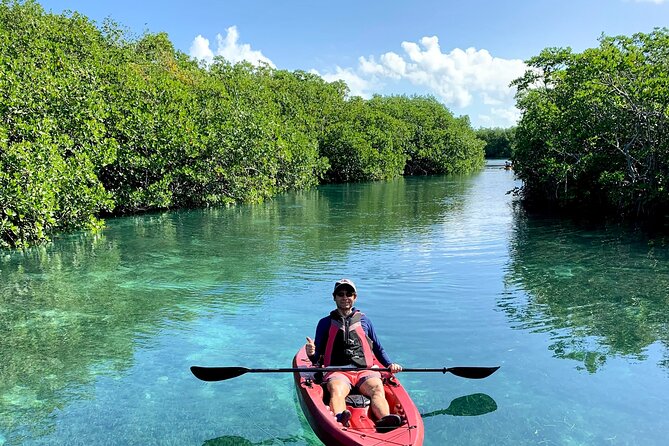 Paddleboard Kayak Tour in Cancun - What’s not included, and what you should bring