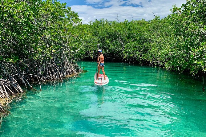 Paddleboard Kayak Tour in Cancun - Early mornings and the workout factor
