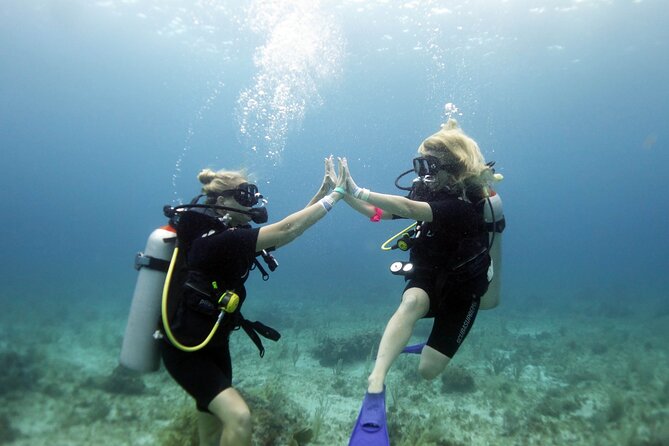 PADI Open Water Diver Course - The PADI Open Water Diver course, in plain terms