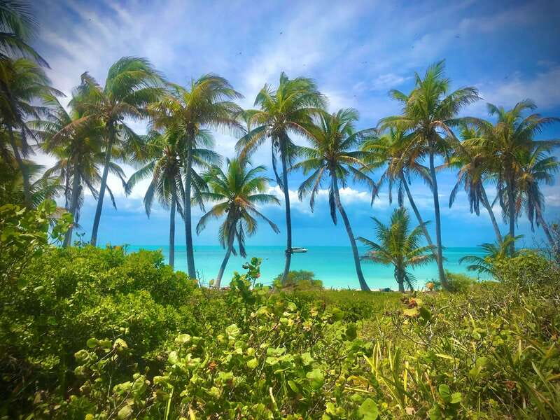PARADISE ISLAND- ISLA CONTOY AND ISLA MUJERES - Timing on Contoy: How Much Time You Really Get