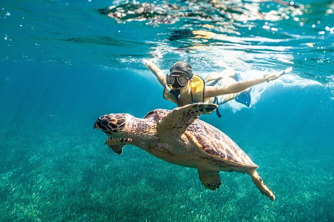 Parasailingcancun and Jet Ski tour over Cancun Bay - Jet Ski Time: 30 Minutes of Real Coastal Thrills