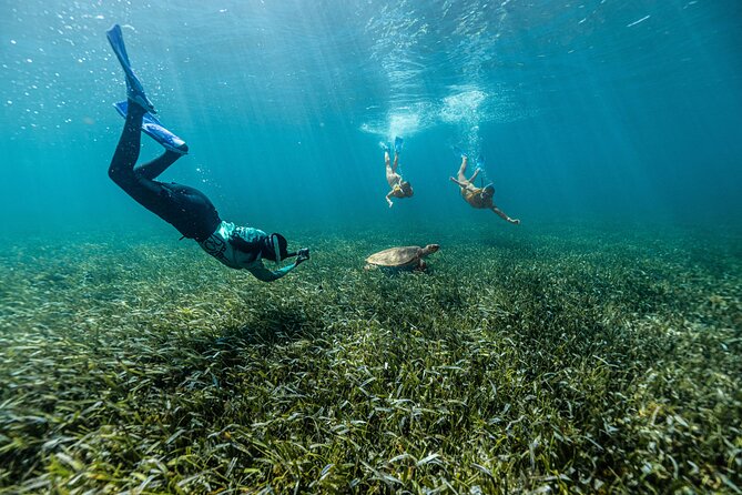 Parasailingcancun and Jet Ski tour over Cancun Bay - What to Pack and What to Watch Out For