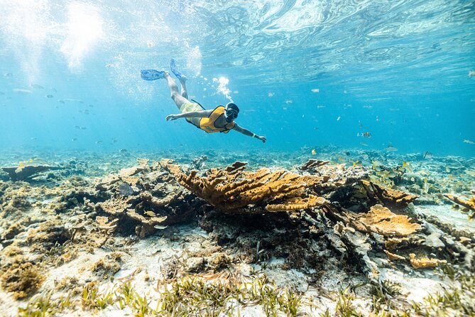 Parasailingcancun and Jet Ski tour over Cancun Bay - What Makes Each Snorkel Stop Worth Your Time (and When It Won’t)