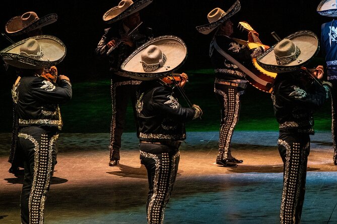 Park Xcaret Plus with Transportation from Cancun and Riviera Maya - Park Xcaret Plus: what you’re really paying for
