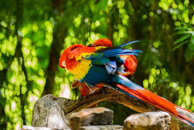 Park Xcaret Plus with Transportation from Cancun and Riviera Maya - Children’s World at Xcaret: shallow cenotes made for smaller kids