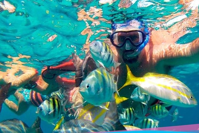 Party On Sailing Cruise to Isla Mujeres from Cancun - Beach Club Time at Isla Mujeres: Lunch, Pool Vibes, and Open Bar