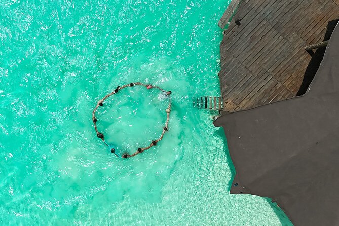 Photography and Filming with drone and camera - Drone aerial shots and camera work, why both matter