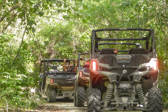 Playa del Carmen Buggy Tour with Cenote Swim and Mayan Village Visit - Why This Jungle Buggy and Cenote Day Feels More Real