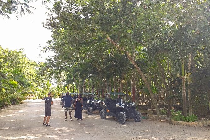 Playa del Carmen Buggy Tour with Cenote Swim and Mayan Village Visit - Price and Value: Is $99 a Good Deal