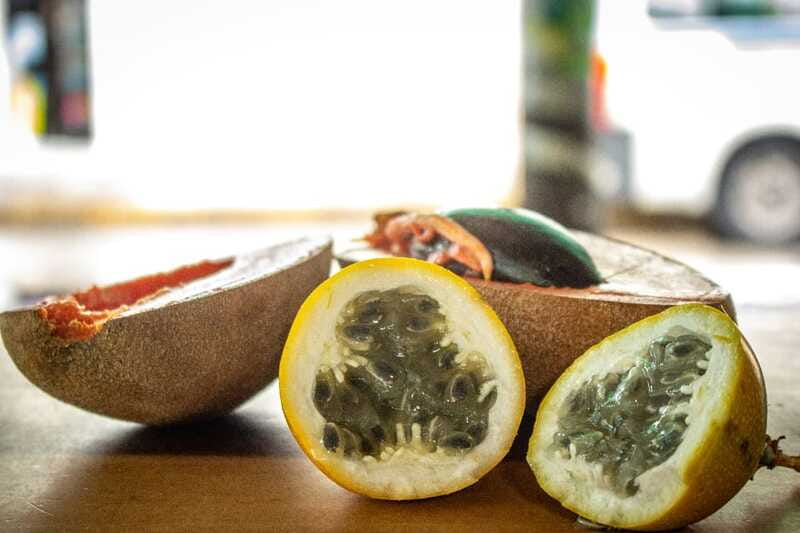 Playa del Carmen: Vegan Food Walking Tour - Why this vegan walk in Playa del Carmen works so well